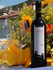 Foto del Rossese di Dolceacqua