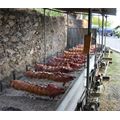 Magliolo - porchetta allo spiedo per la festa dei Santi Cosma e Damiano (Foto B.Roncato)