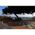 Passeggiata di Diano Marina - Foto F.Trunzo
