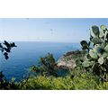 Uno scorcio dell'Isola - Foto Studio Fotografico Rossello Albenga
