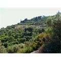 Il tracciato romano immerso nel verde della collina di Albenga - Foto Bruno Roncato