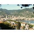Panoramica