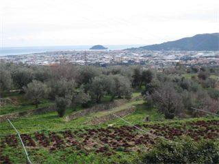 L'Isola Gallinara dal sito Morteo a Campochiesa