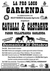 Locandina Cavalli & Castagne