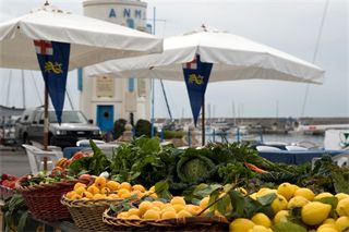 Vela Sapori