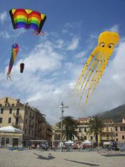 Festa degli aquiloni - edizione 2010