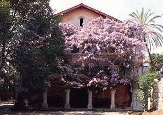 La biblioteca-museo Bicknell di Bordighera, sovrastata da uno scenografico glicine in fiore, si veste per la primavera