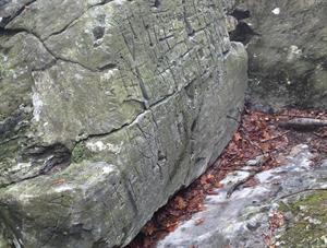 Le rocce incise del Beigua