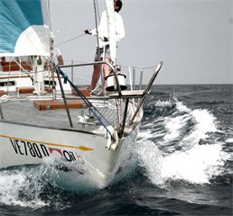 Ior Revival Sanremo