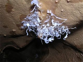Grotta Buranco della Carnabuggia